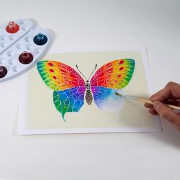 Akvarelové maľovanie - Motýle