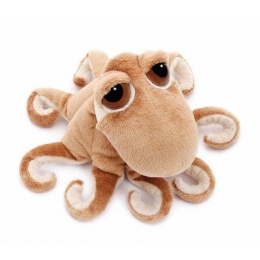 Vygúľaná chobotnice Octavius ​​malá - 0 ks