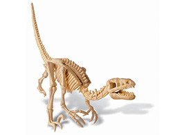Velociraptor - skladací kostra