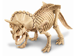 Triceratops - skladací kostra