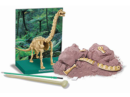 Brachiosaurus - skladací kostra