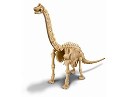 Brachiosaurus - skladací kostra