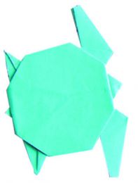 Origami - Morský svet