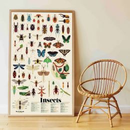 Náučný samolepkový plagát Hmyz