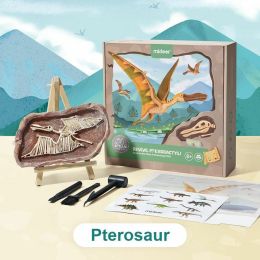 Vykopávanie dinosaurov - Pterosaurus - 0 1